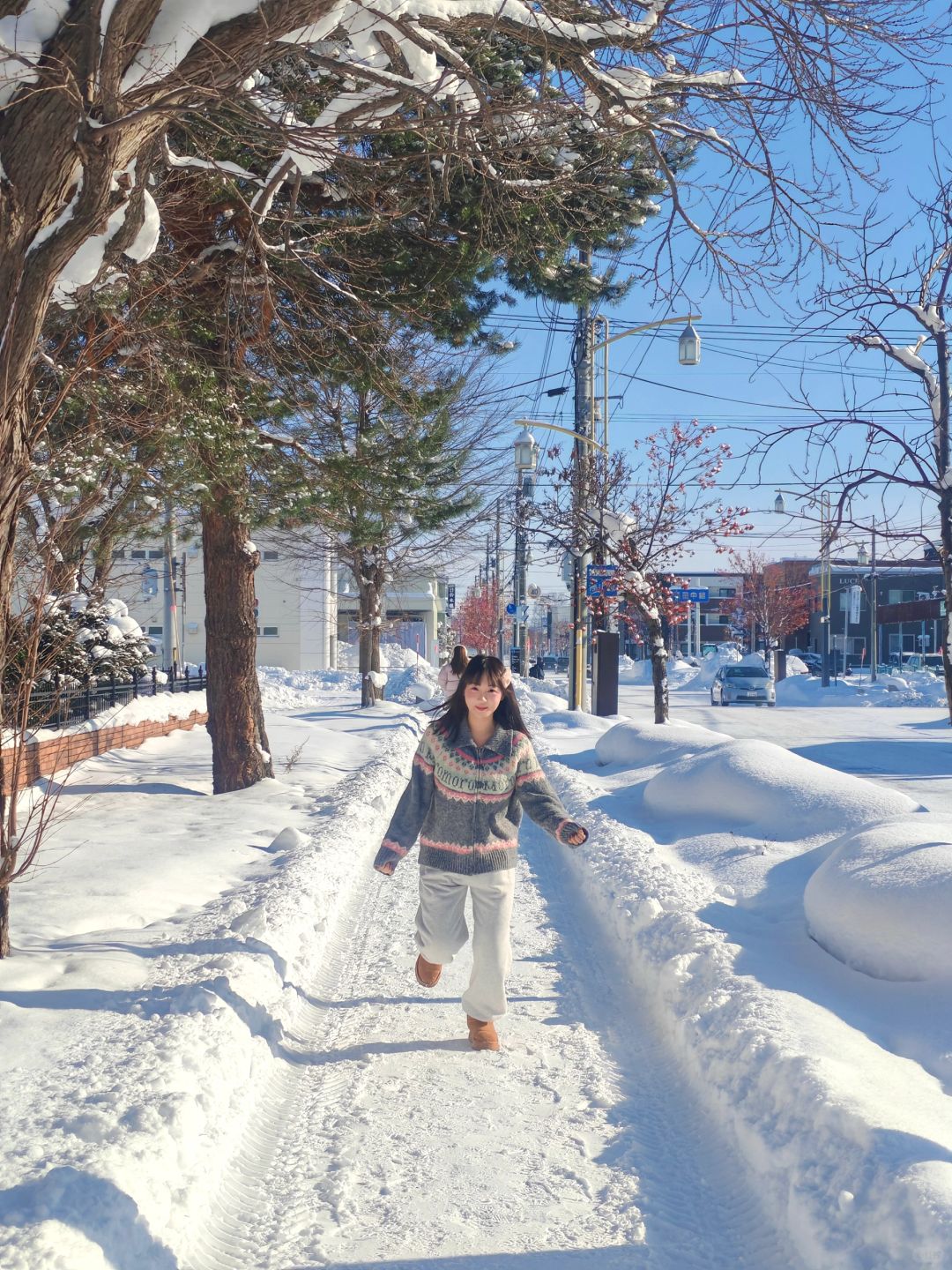 Sapporo/Hokkaido-It was snowing heavily in Asahikawa Palace Park, ?and there was no one there