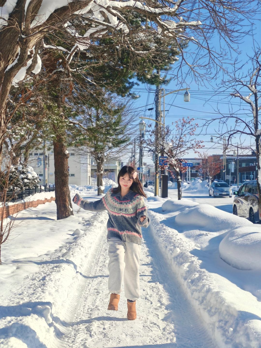 Sapporo/Hokkaido-It was snowing heavily in Asahikawa Palace Park, ?and there was no one there