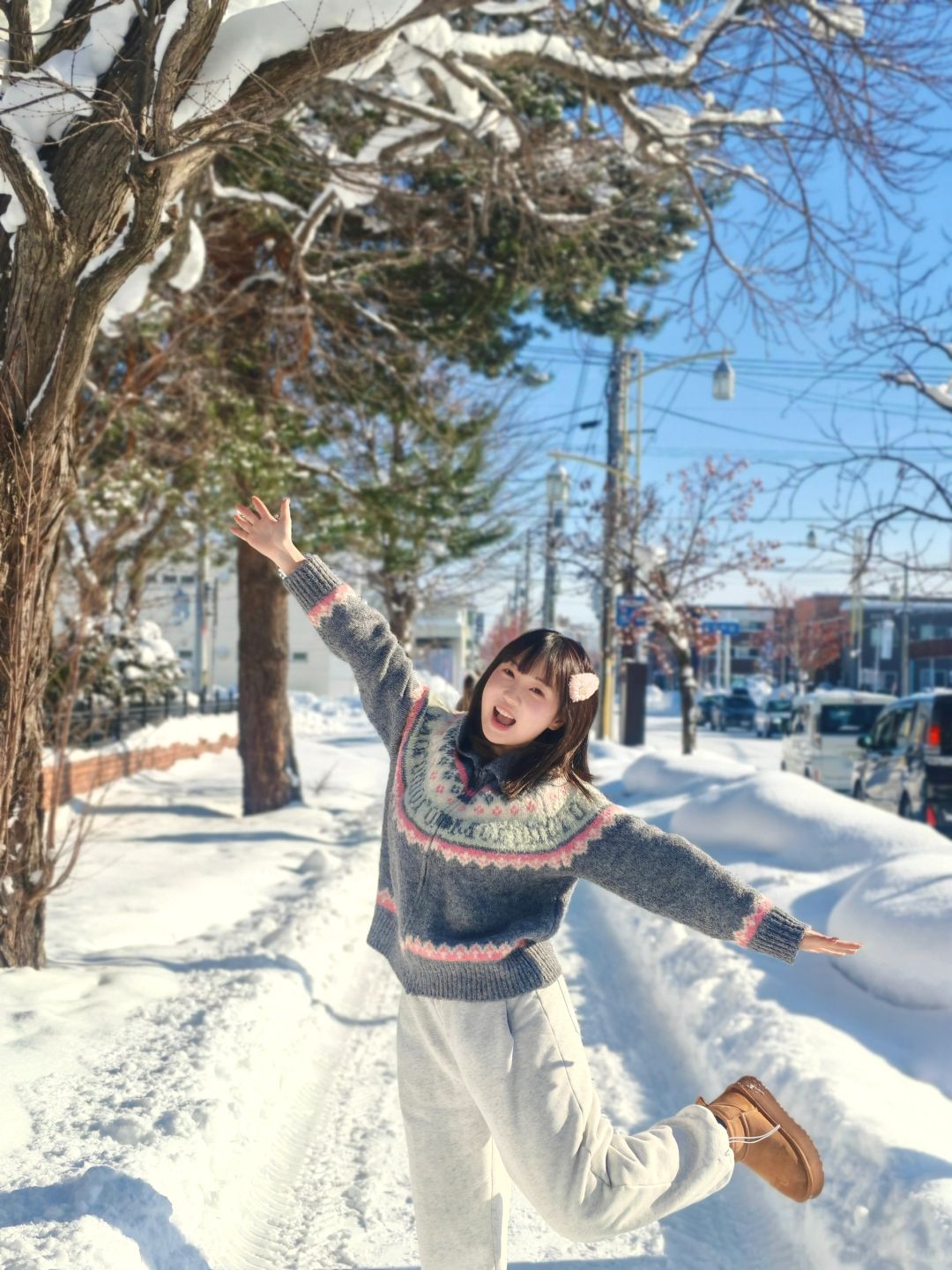 Sapporo/Hokkaido-It was snowing heavily in Asahikawa Palace Park, ?and there was no one there