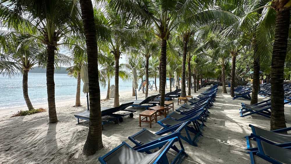 Ho Chi Minh-Top ten must-visit attractions in Nha Trang, Vietnam, professional tips and tricks