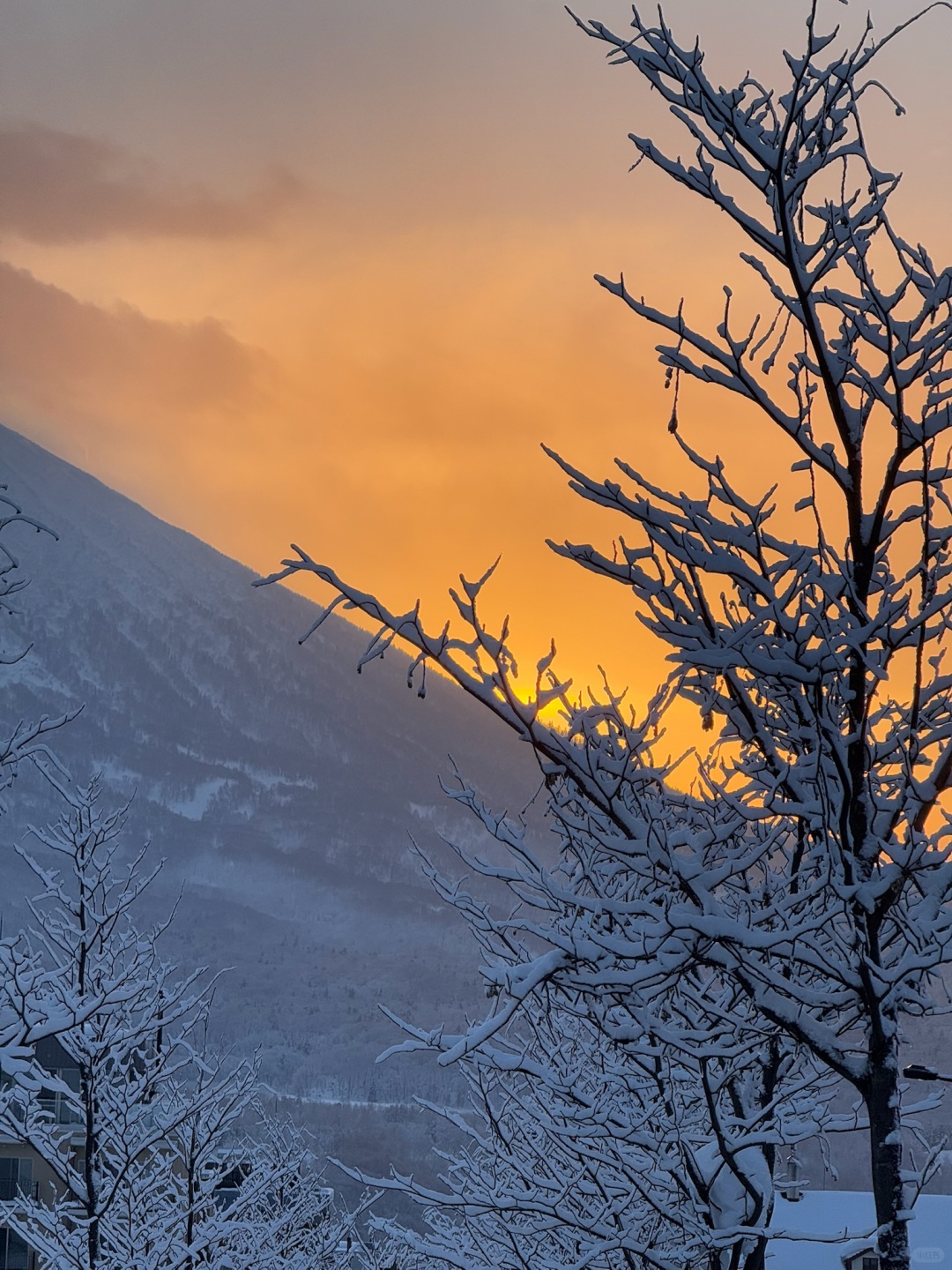 Sapporo/Hokkaido-Hokkaido Niseko ski price list, including tickets, meals, skis, hotel accommodation, bus