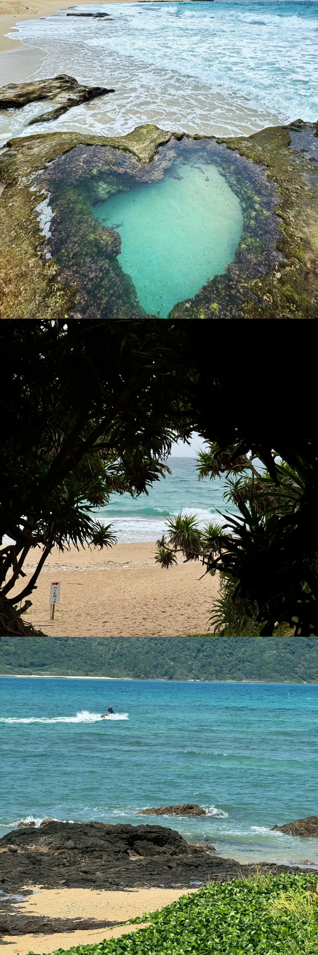 Okinawa-My Delightful Denbo Experience:Fonteb Tropica, Amami and Frasco