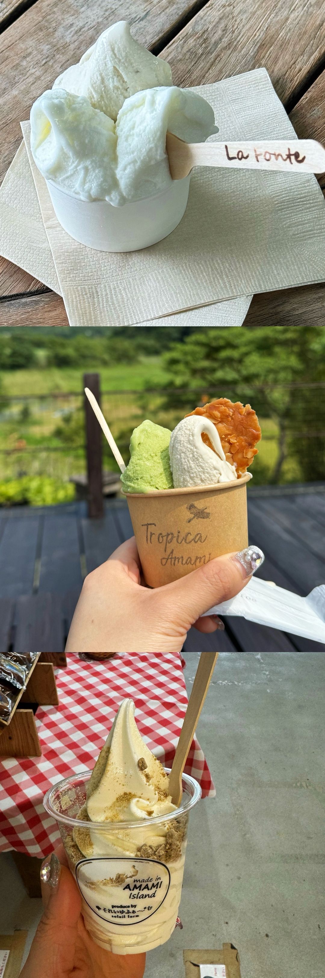 Okinawa-My Delightful Denbo Experience:Fonteb Tropica, Amami and Frasco
