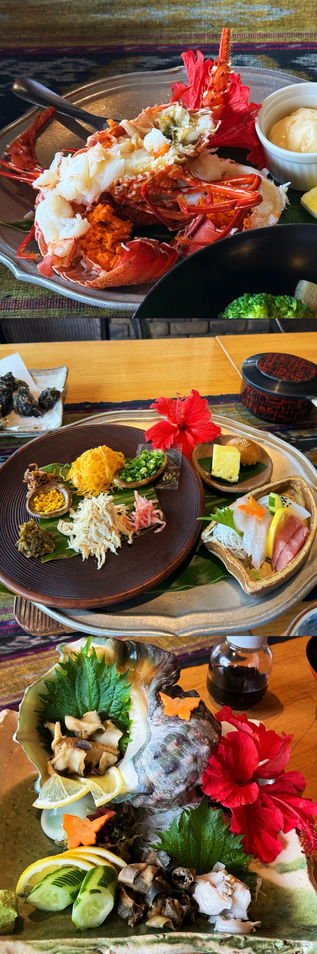 Okinawa-My Delightful Denbo Experience:Fonteb Tropica, Amami and Frasco