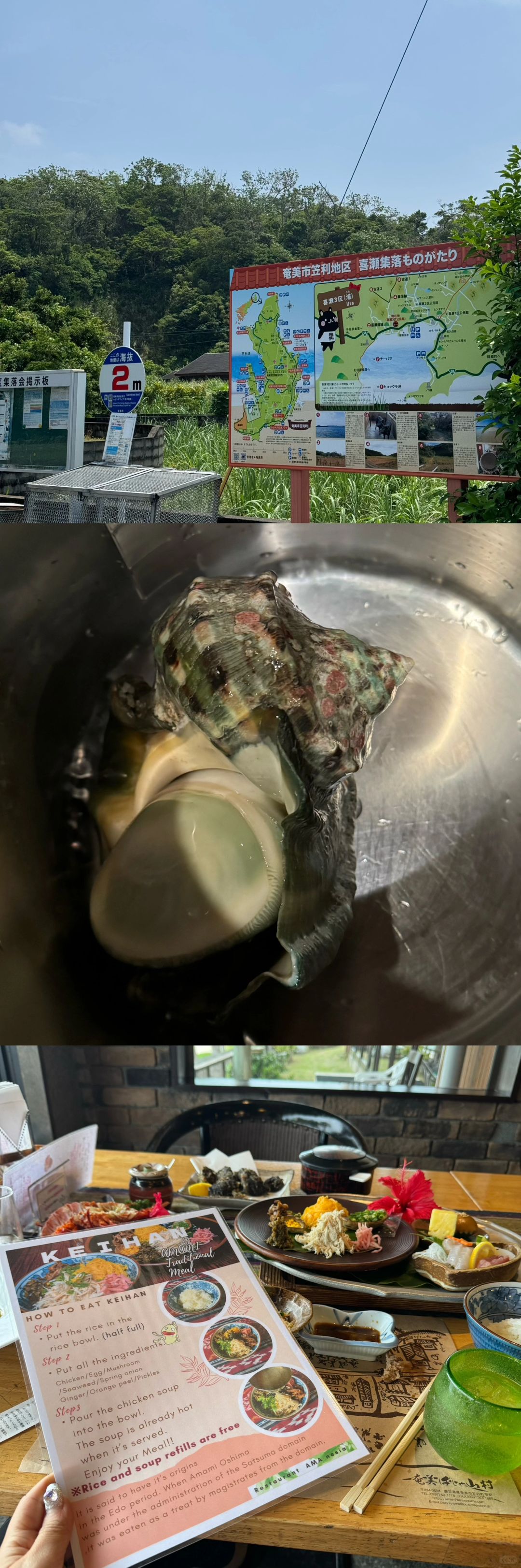 Okinawa-My Delightful Denbo Experience:Fonteb Tropica, Amami and Frasco