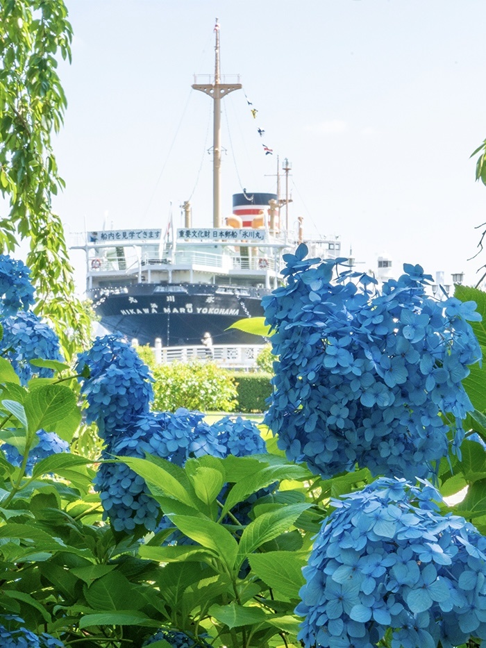 Tokyo-A travel guide to Yokohama:Yokohama Landmark Tower Building,Sankei Garden and  Yokohama Marine Tower