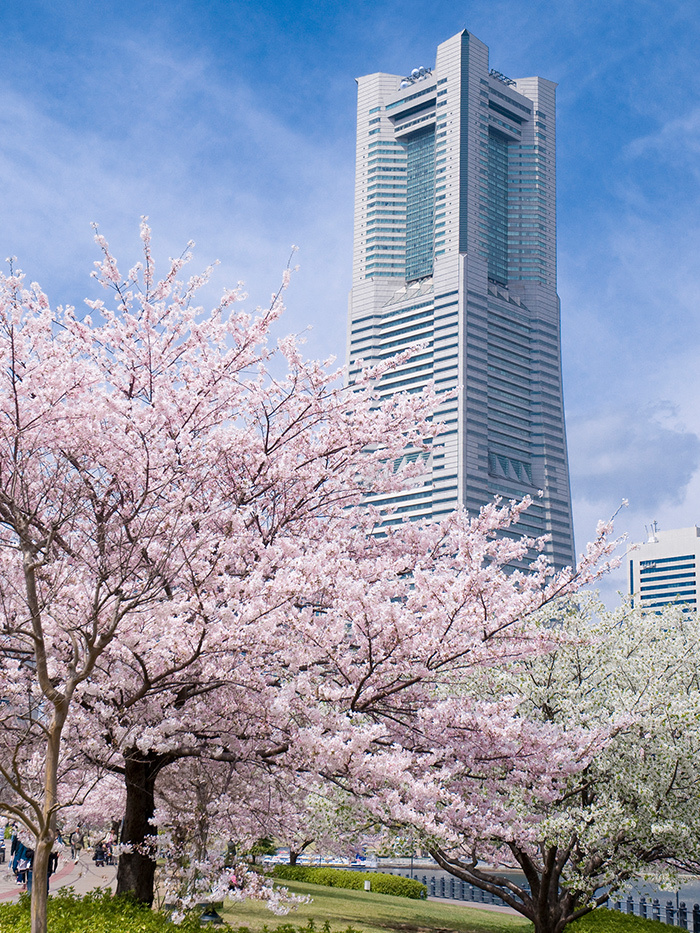 Tokyo-A travel guide to Yokohama:Yokohama Landmark Tower Building,Sankei Garden and  Yokohama Marine Tower