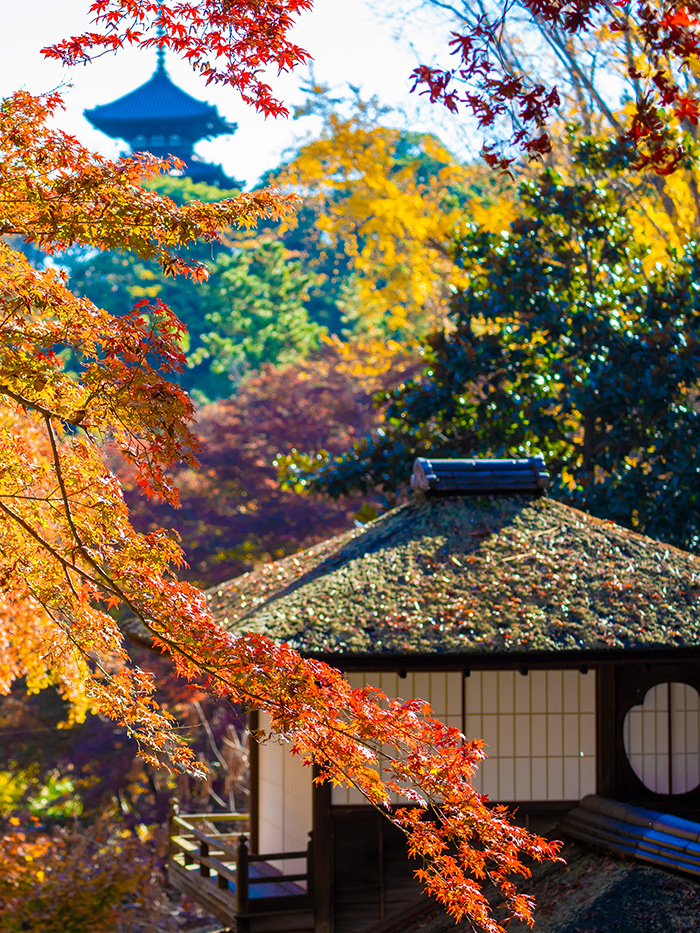 Tokyo-A travel guide to Yokohama:Yokohama Landmark Tower Building,Sankei Garden and  Yokohama Marine Tower
