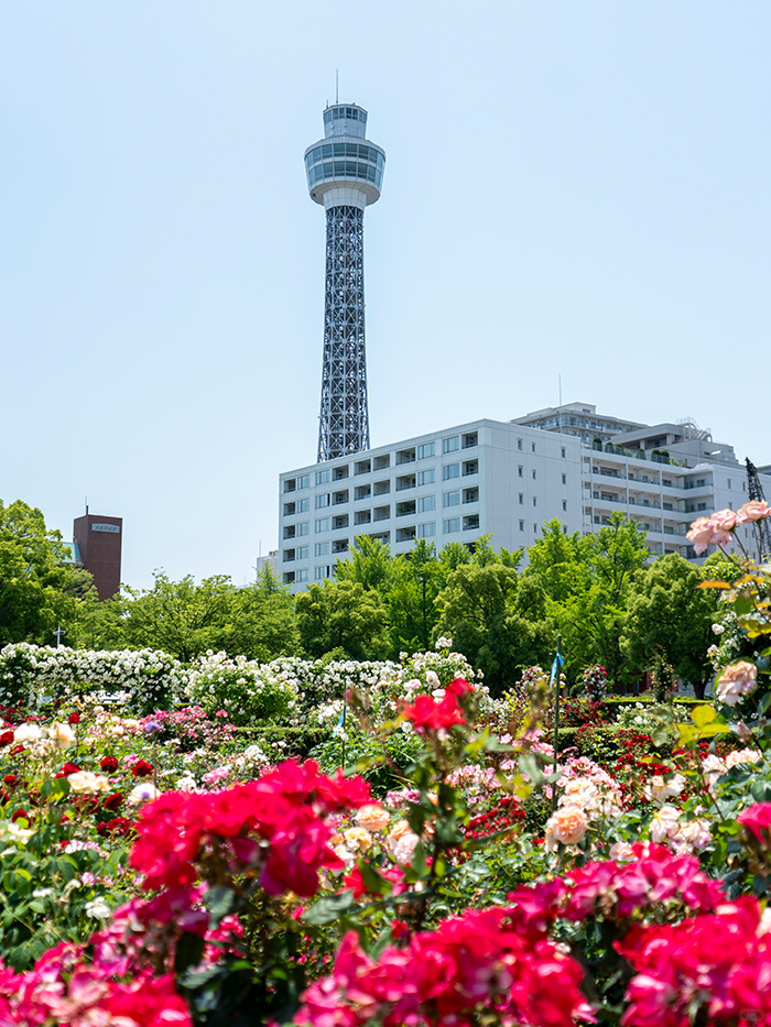 Tokyo-A travel guide to Yokohama:Yokohama Landmark Tower Building,Sankei Garden and  Yokohama Marine Tower