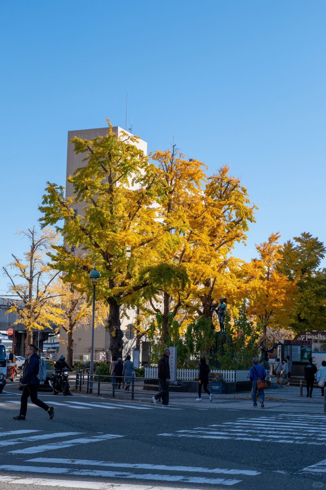 Tokyo-A one-day citywalk tour in Yokohama:Yokohama Port Pier,Yamashita Park,Red Brick Warehouse and so on