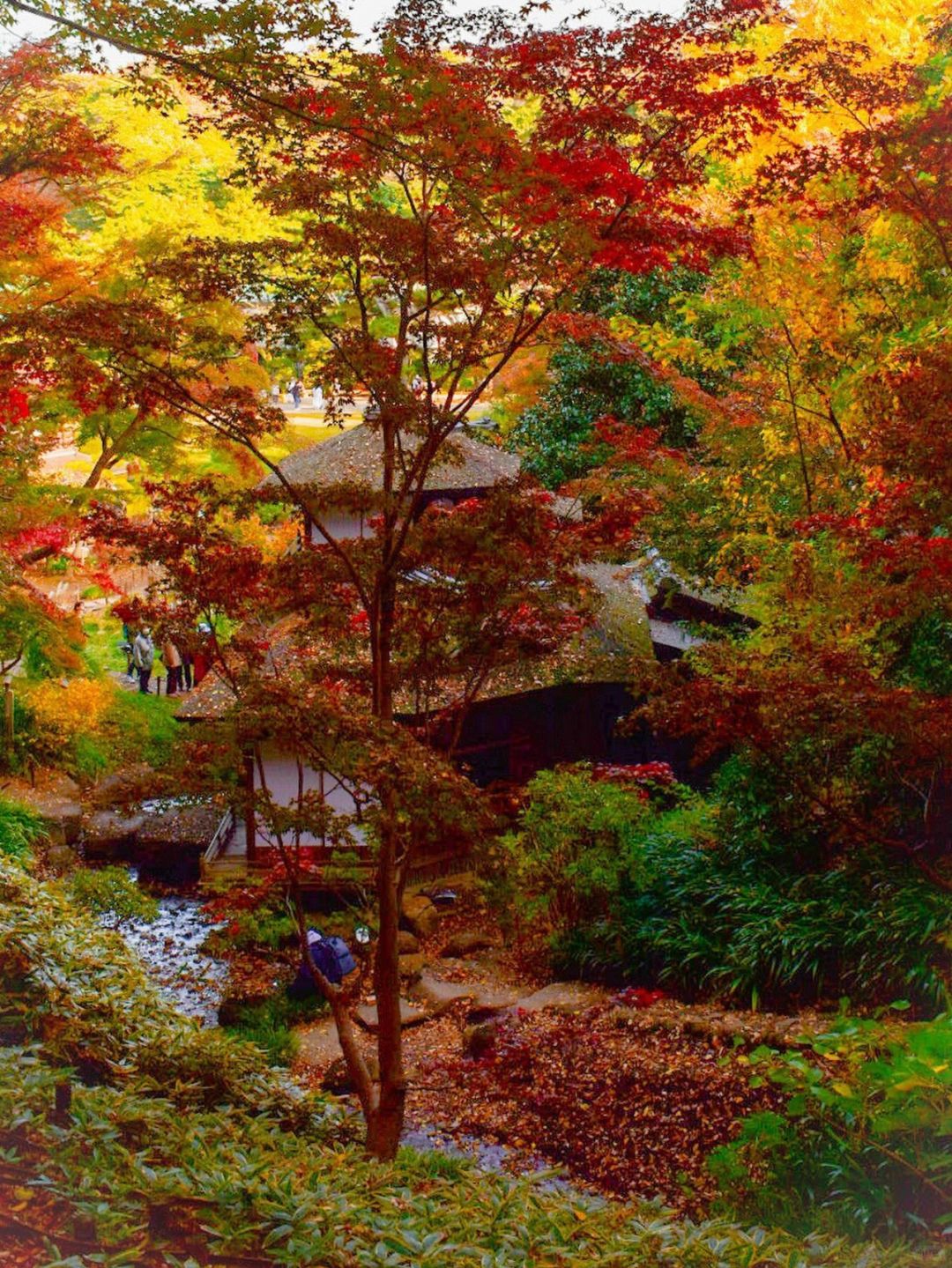 Tokyo-One-day autumn itinerary in Yokohama:Sanxi Garden,Furafu 18th Edition,Yokohama Chinatown