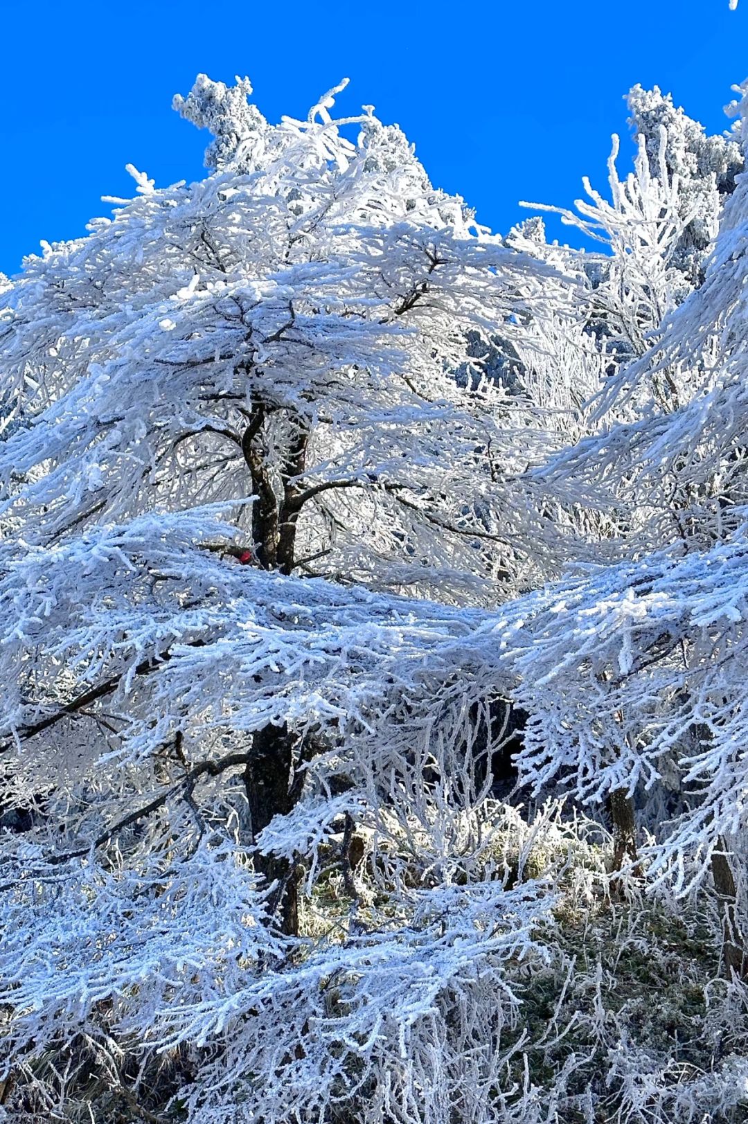 Changsha-Hengshan in Changsha, it's almost snowing, very beautiful!