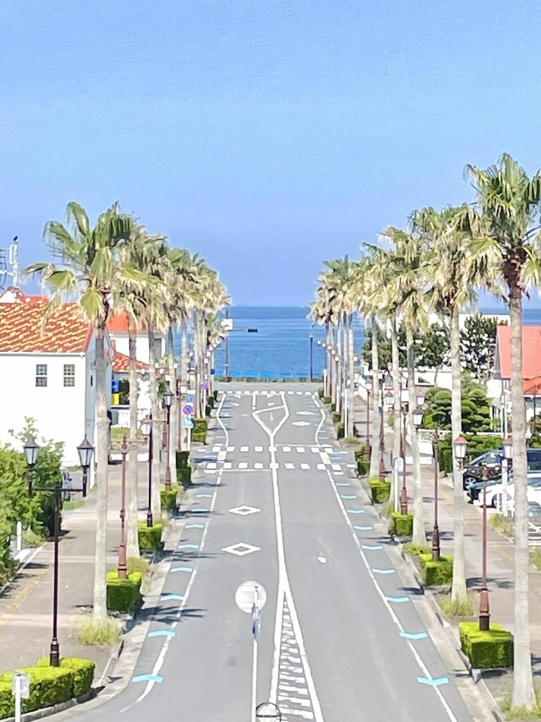 Tokyo-Tateyama, Small Hawaiian town near Tokyo, is the best place to meet sharks at the sunset