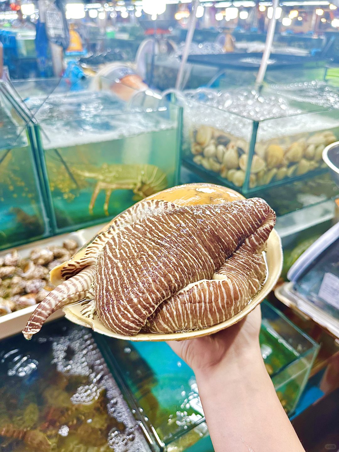 Phuket-Phuket seafood market, market prices of seafood in Patong area (non-tourist prices)