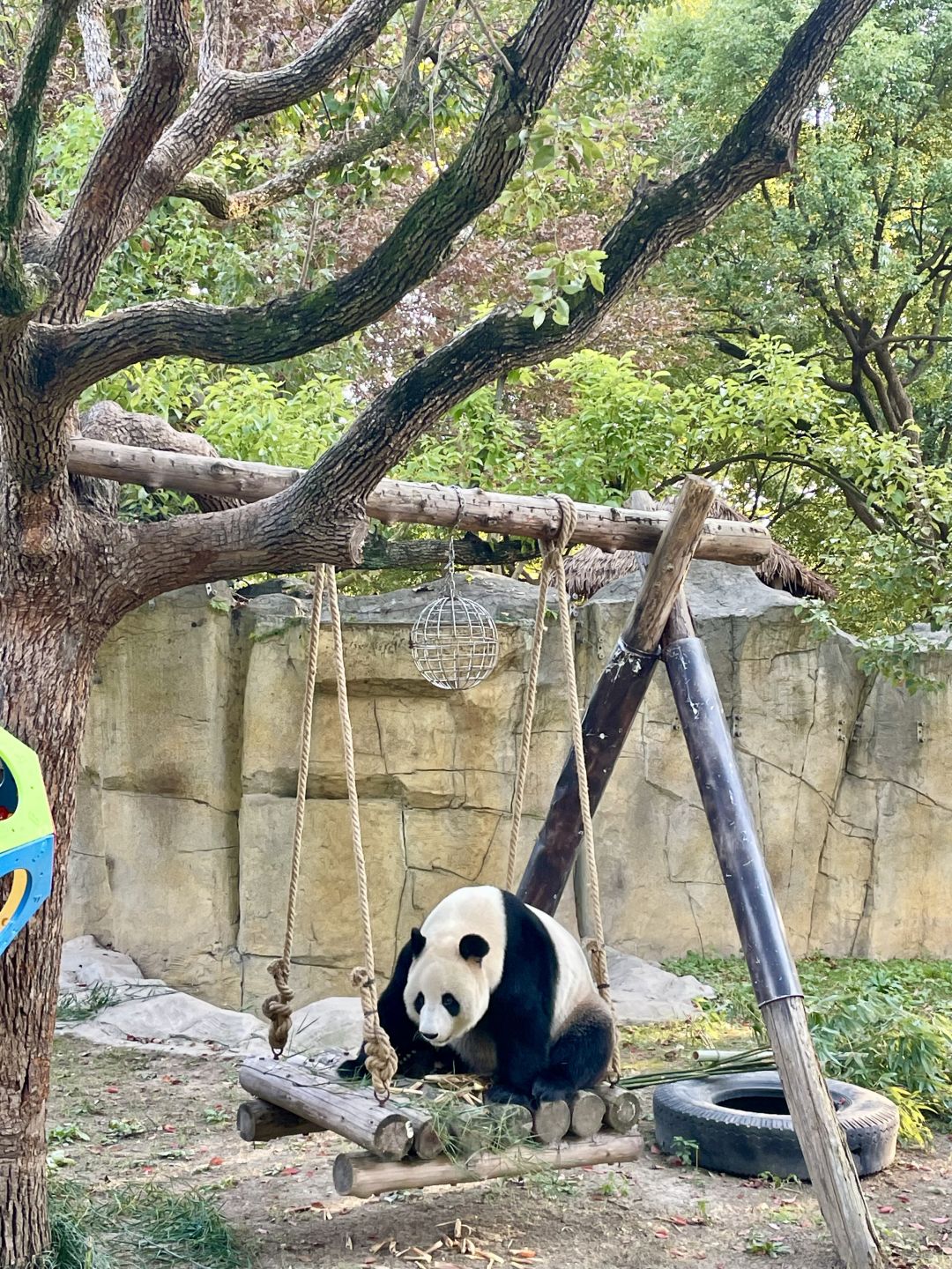 Shanghai/Hangzhou-Shanghai Wildlife Park has a variety of wild animals!That's lovely!