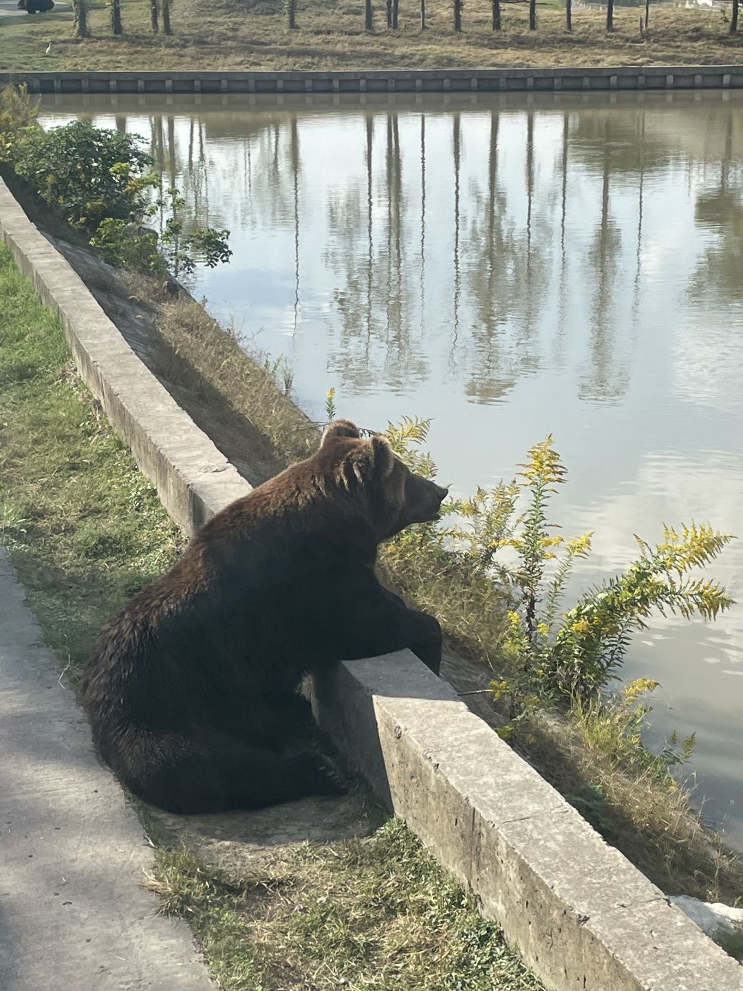 Shanghai/Hangzhou-Shanghai Wildlife Park has a variety of wild animals!That's lovely!