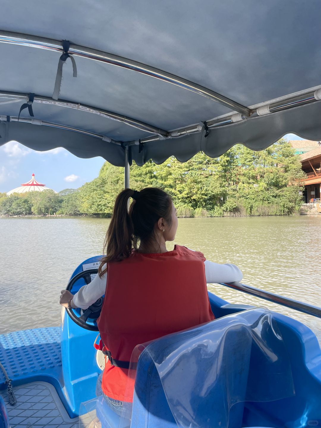 Shanghai/Hangzhou-Shanghai Wildlife Park has a variety of wild animals!That's lovely!