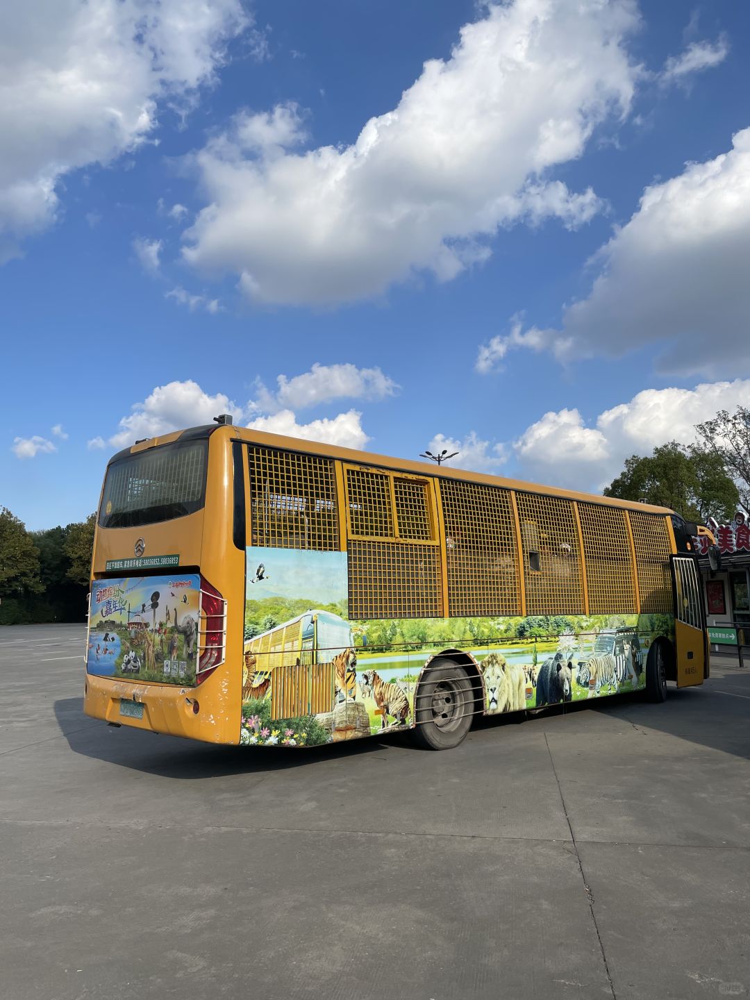 Shanghai/Hangzhou-Shanghai Wildlife Park has a variety of wild animals!That's lovely!