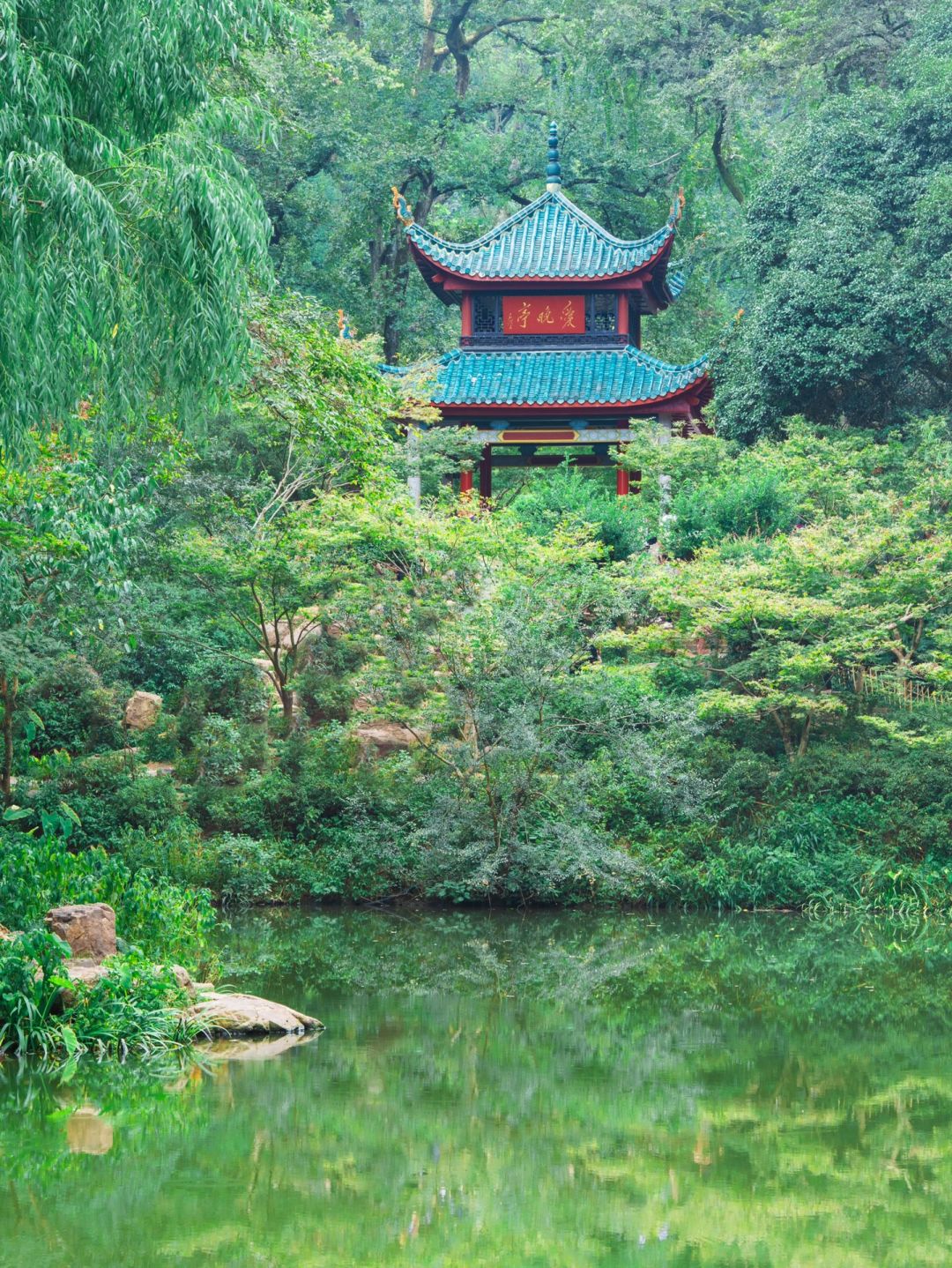 Changsha-Recommended attractions in Changsha, visit this very romantic and beautiful city!