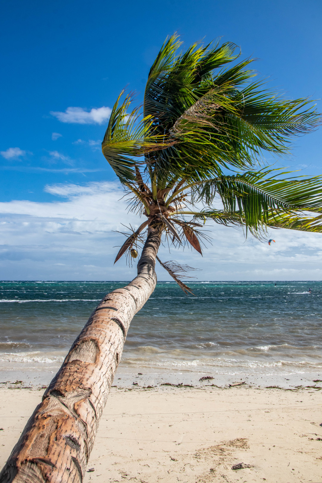 Boracay-A relaxing trip to Boracay, facing the jelly-like sea, back to the gentle early summer