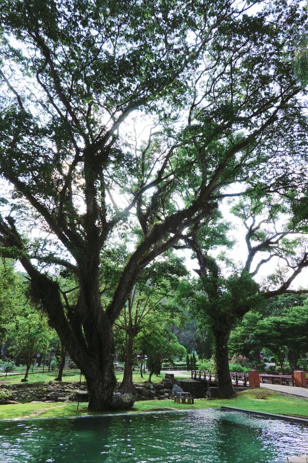 Chiang Mai-Flora Creek, Chiang Mai Forest Garden Hotel, located on mountain 20km from the ancient city