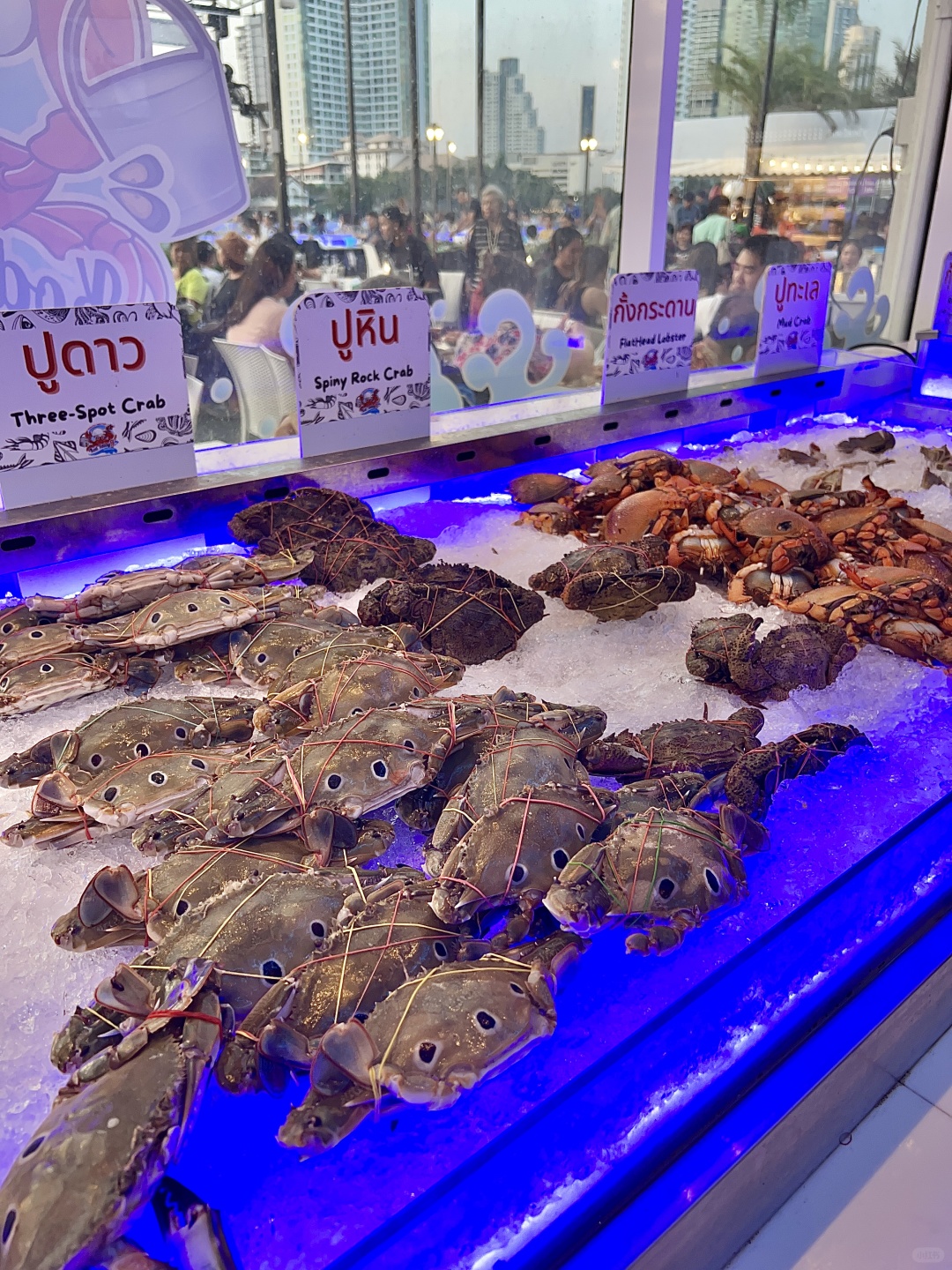 Bangkok-Bangkok Chao Phraya River, only $15, live shrimp seafood buffet Kodtalay The Riverfront