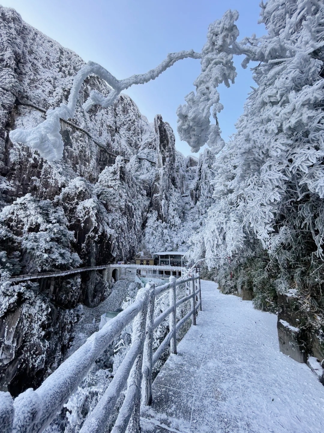 Changsha-There are many places to admire rime in Hunan, and the mountaintops are covered with crystal clear mist, like jade trees!