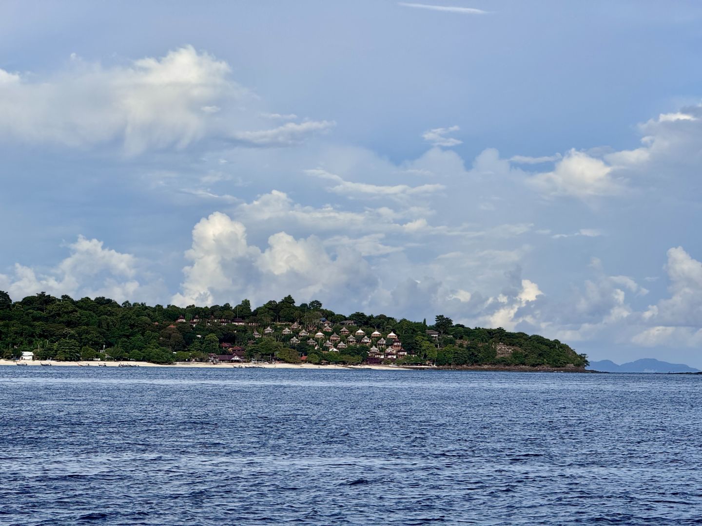 Phuket-Phuket Phi Phi Island Tour, Maya Bay is open on the first day, saw sharks and beautiful scenery