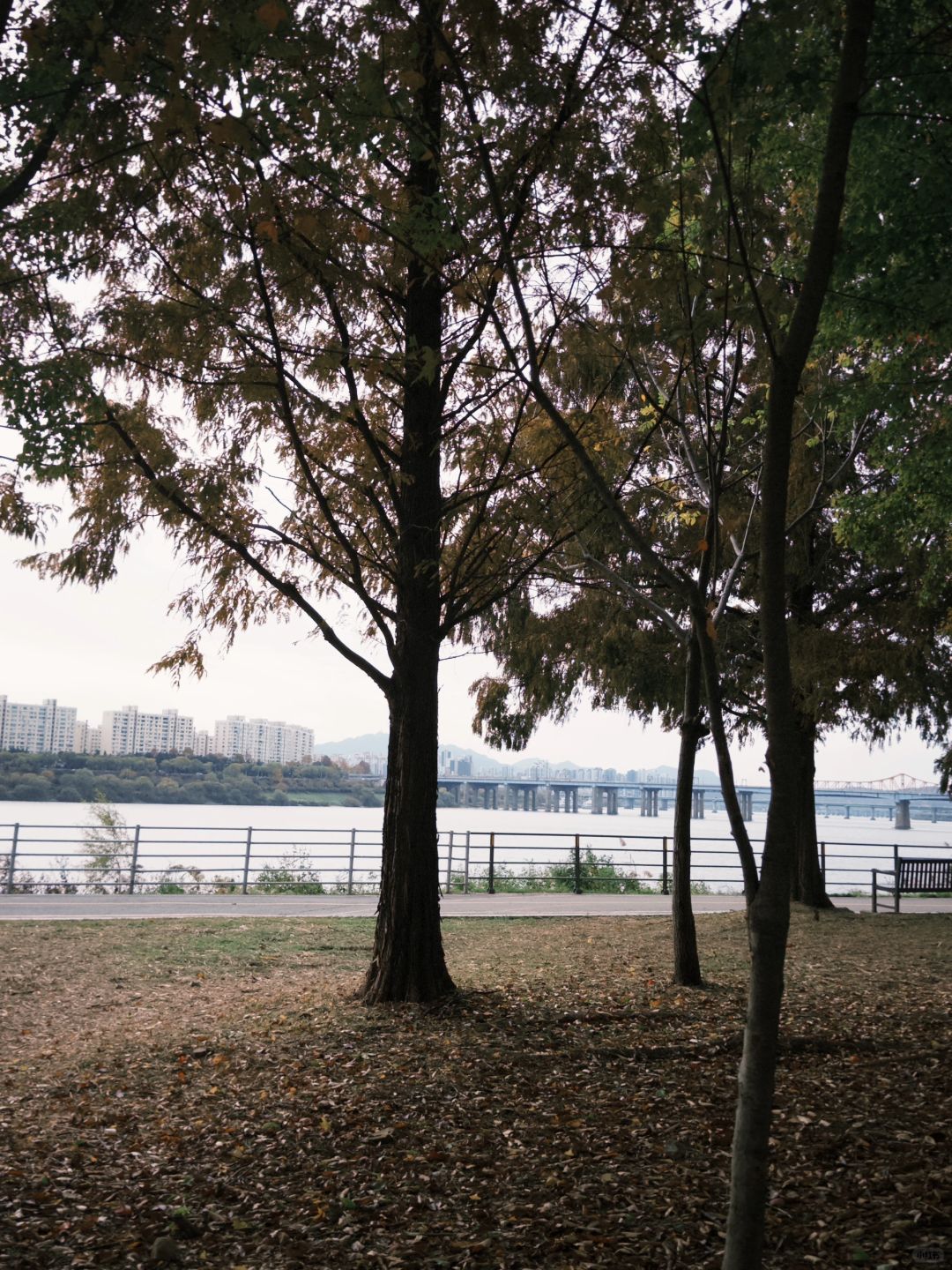Seoul-Seoul Forest, Olympic Park, Changgyeonggung Palace, Heunginjimun Gate, Cheonggyecheon Park Recommended