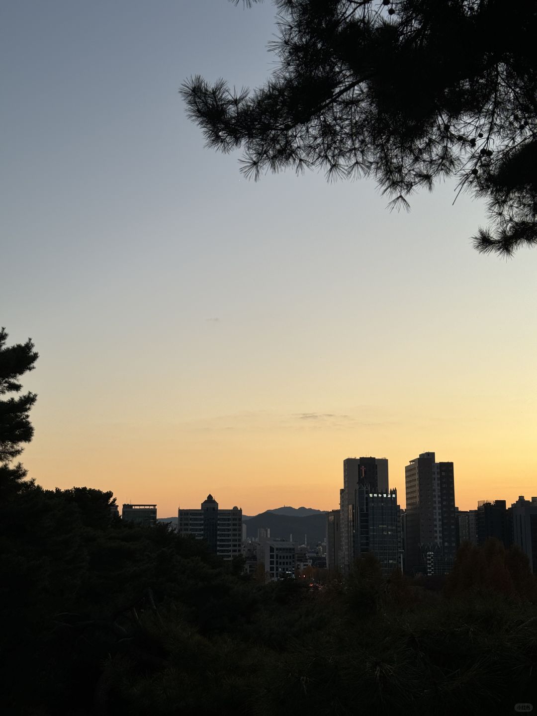 Seoul-Seoul Forest, Olympic Park, Changgyeonggung Palace, Heunginjimun Gate, Cheonggyecheon Park Recommended