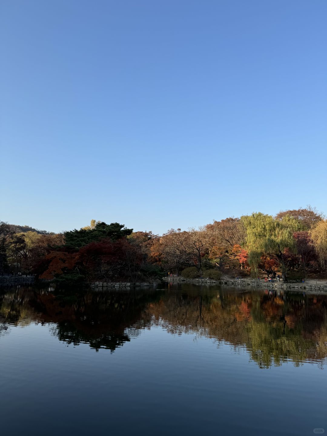 Seoul-Seoul Forest, Olympic Park, Changgyeonggung Palace, Heunginjimun Gate, Cheonggyecheon Park Recommended