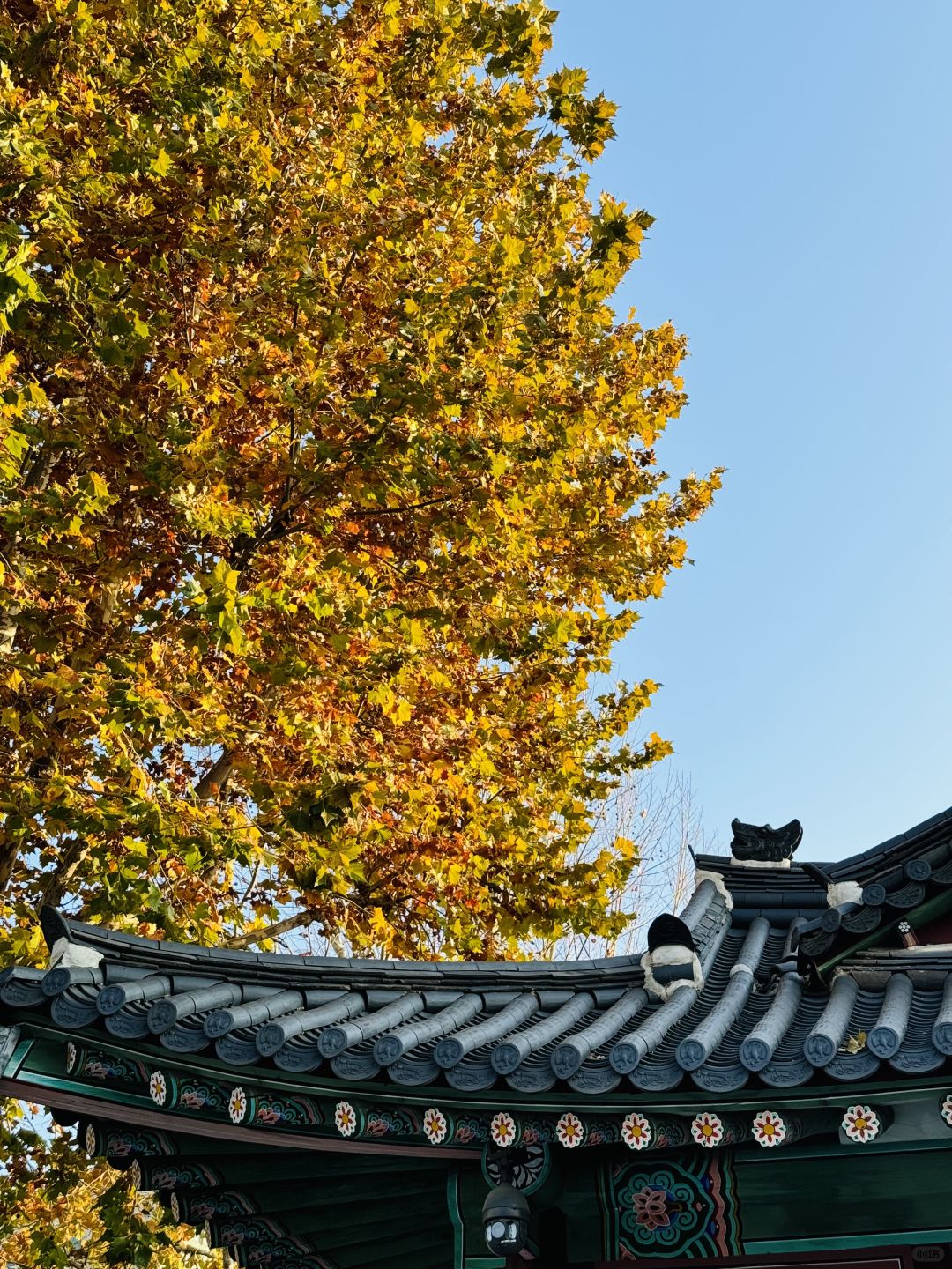 Seoul-Seoul Forest, Olympic Park, Changgyeonggung Palace, Heunginjimun Gate, Cheonggyecheon Park Recommended