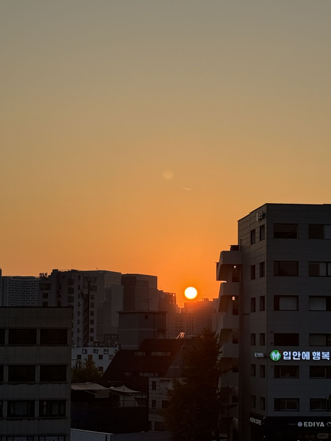 Seoul-Seoul Forest, Olympic Park, Changgyeonggung Palace, Heunginjimun Gate, Cheonggyecheon Park Recommended