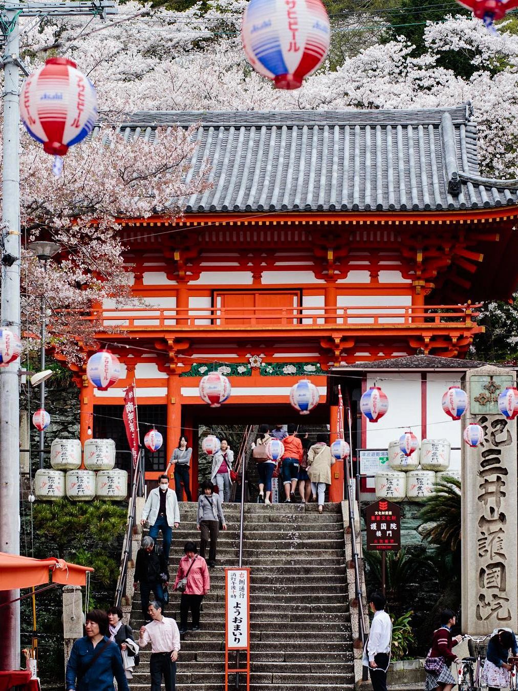 Osaka-7-day in-depth tour of Kansai, Japan, including geisha performances and ancient temple tea ceremonies