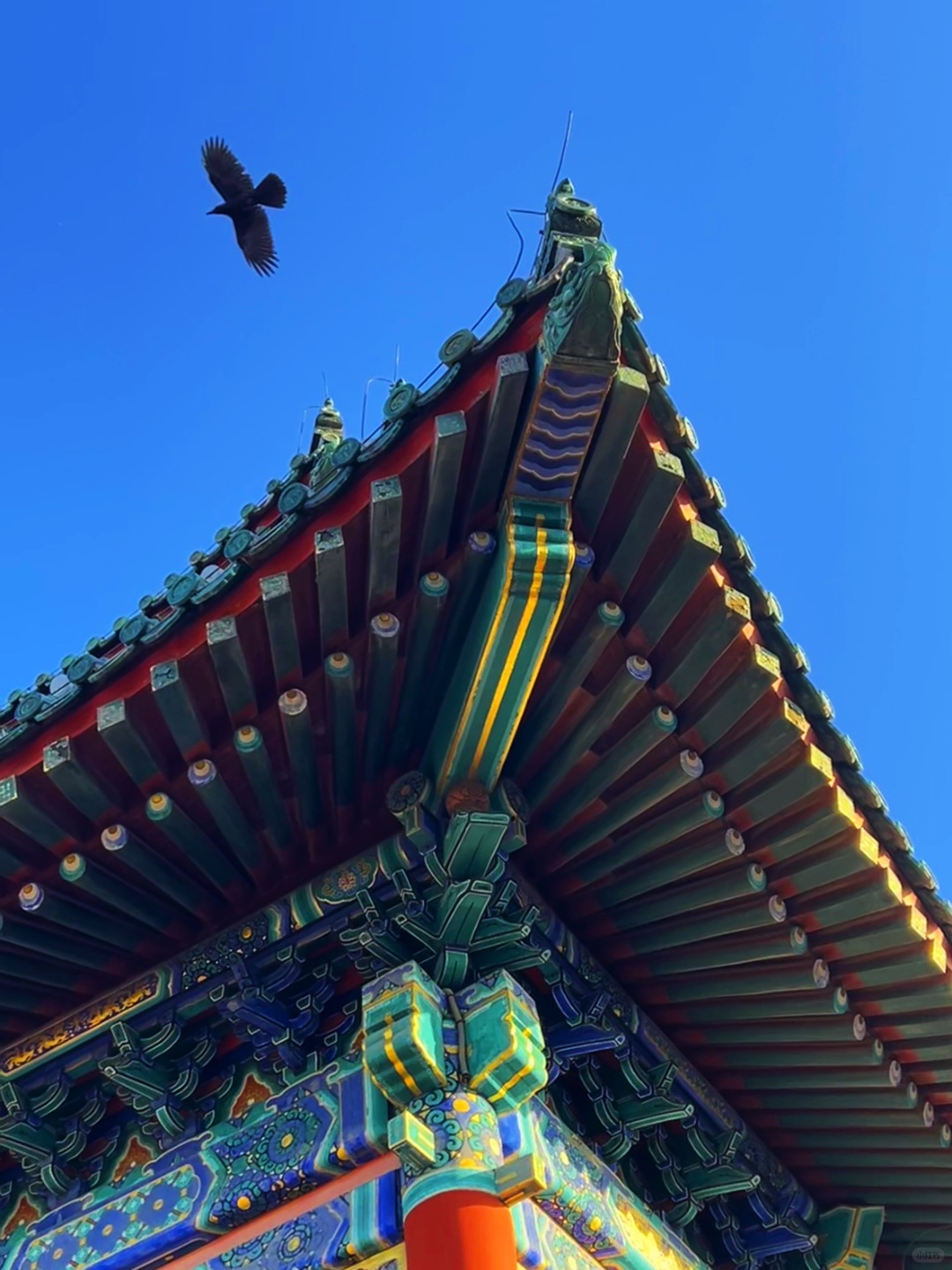Beijing/Tianjin-When traveling to Beijing, China, don’t miss the stunning sunset at the Forbidden City.