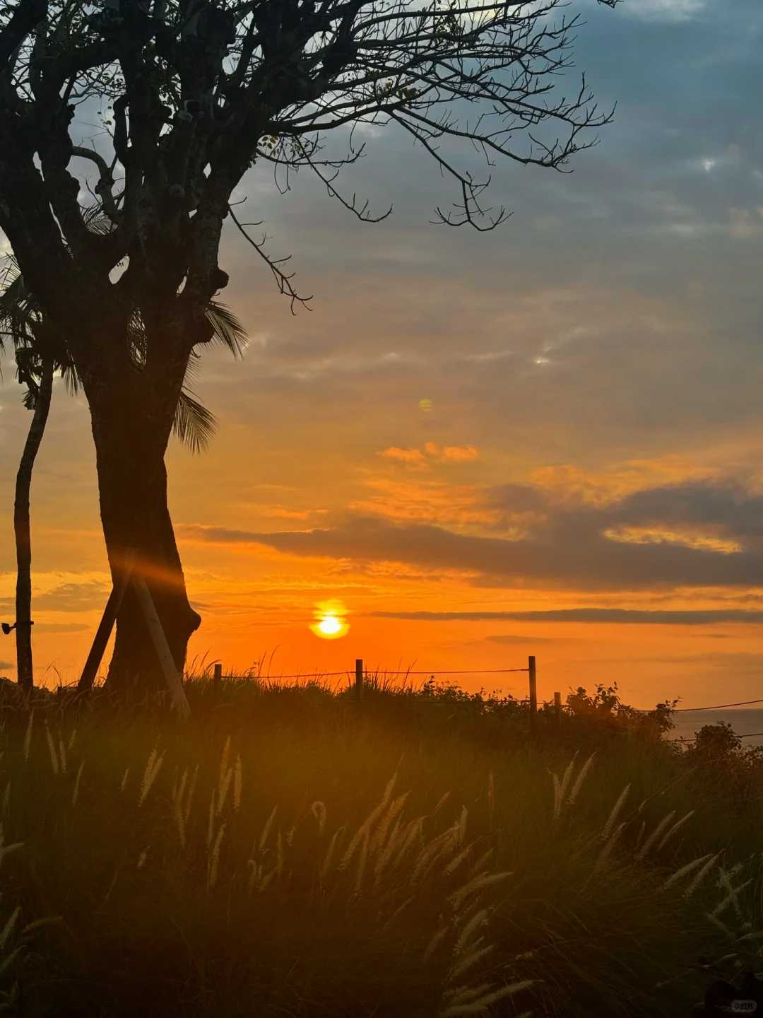 Bali-Is Rock Bar in Bali worth visiting? There is a fun little jungle elevator where you can enjoy the sunset.