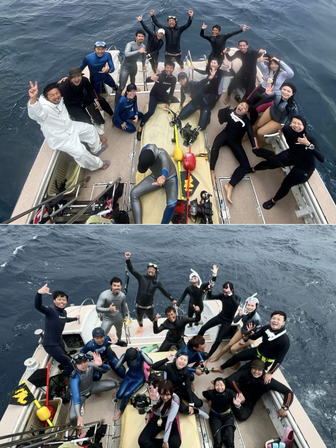 Okinawa-Swimming with whales in Okinawa, Japan, with snorkeling and whale watching tips