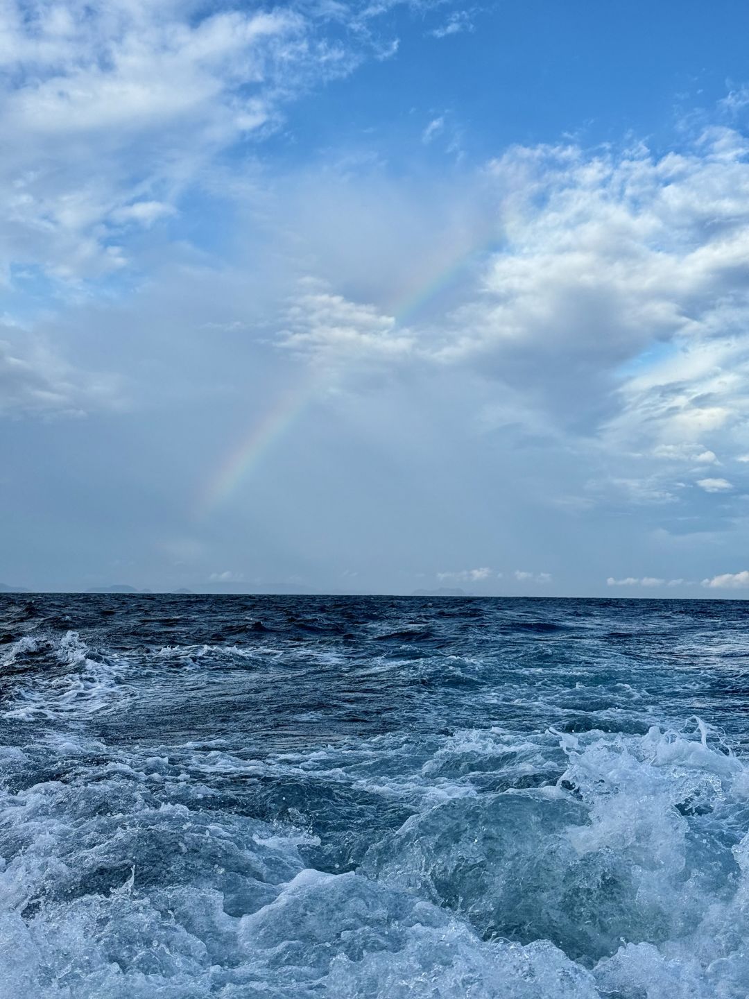 Okinawa-Swimming with whales in Okinawa, Japan, with snorkeling and whale watching tips