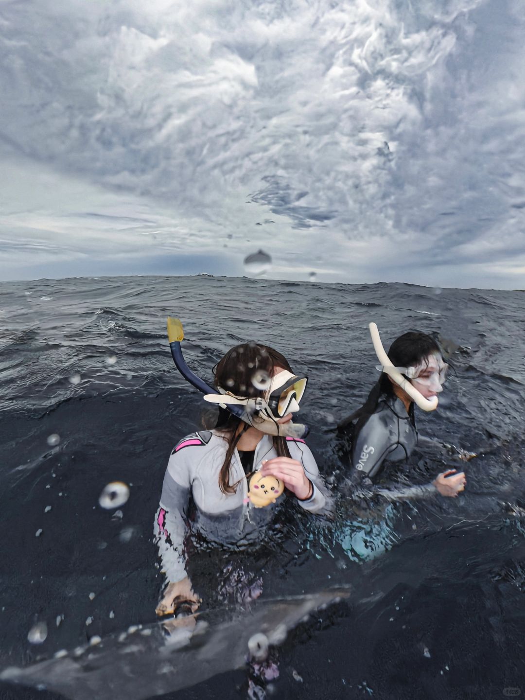 Okinawa-Swimming with whales in Okinawa, Japan, with snorkeling and whale watching tips