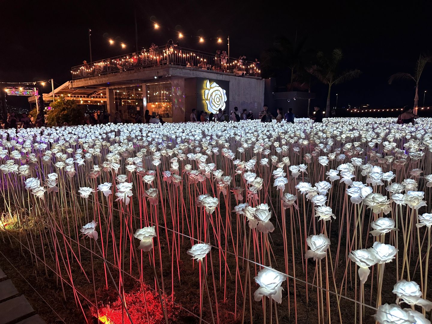 Cebu-Motorcycle tour in Cebu City, visit Temple of Leah, Sirao Garden and 10000 Roses Cafe & More
