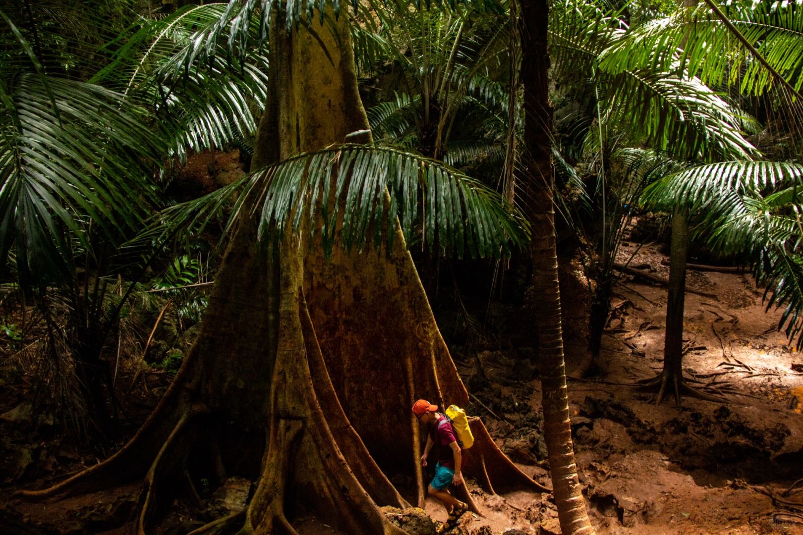 Krabi-Lagoon Trial in Krabi, Thailand, not only has other mountains, but also red land rainforest