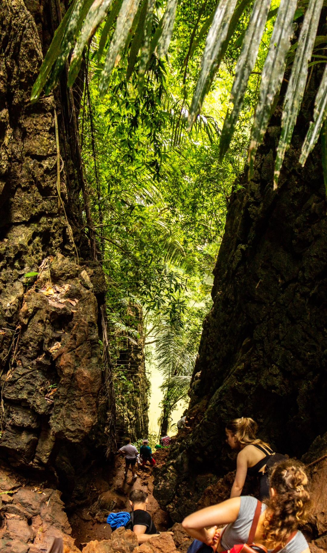 Krabi-Lagoon Trial in Krabi, Thailand, not only has other mountains, but also red land rainforest