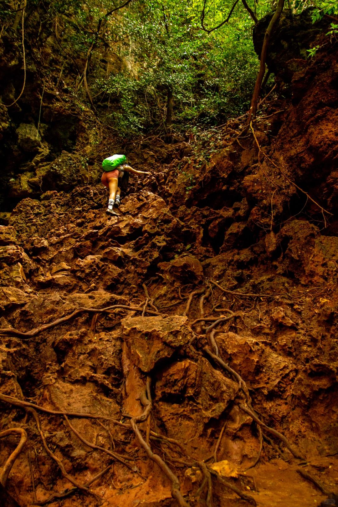 Krabi-Lagoon Trial in Krabi, Thailand, not only has other mountains, but also red land rainforest