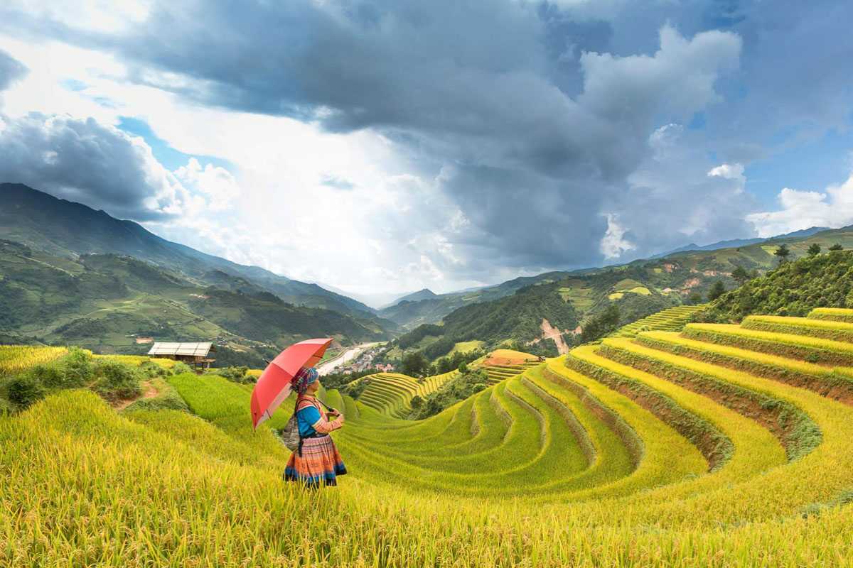 Hanoi-Sapa Travel Guide, Must-see Attractions & Multi-day Tours from Hanoi, Local Tour Recommendations