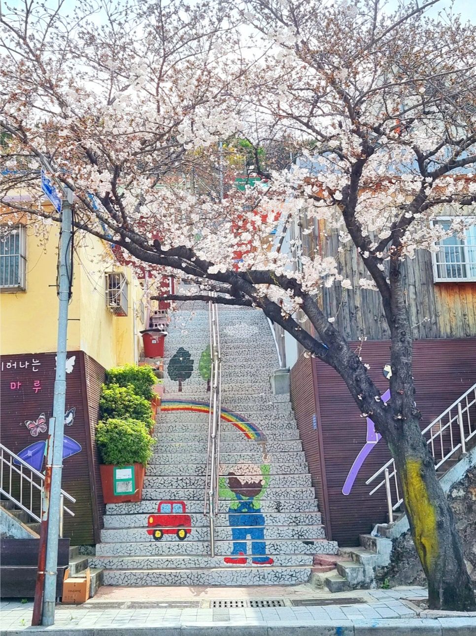 Busan/Jeju-Let's go to Busan for a date in spring. ❤️Jukjeon Valley Mural Village, Movement Lab, GayaLand🌸