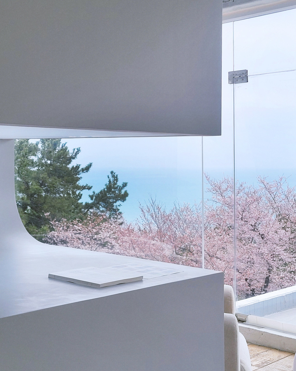 Busan/Jeju-Let's go to Busan for a date in spring. ❤️Jukjeon Valley Mural Village, Movement Lab, GayaLand🌸