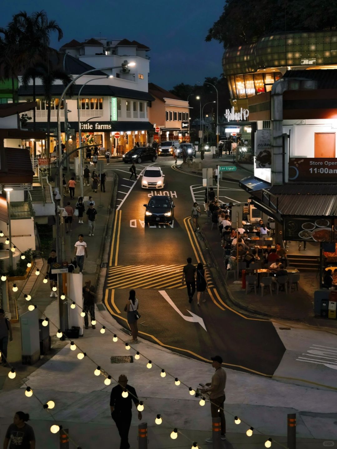 Singapore-Singapore Travel Notes | ❤️Holland Village at night is so beautiful that I am attracted by the neon lights here