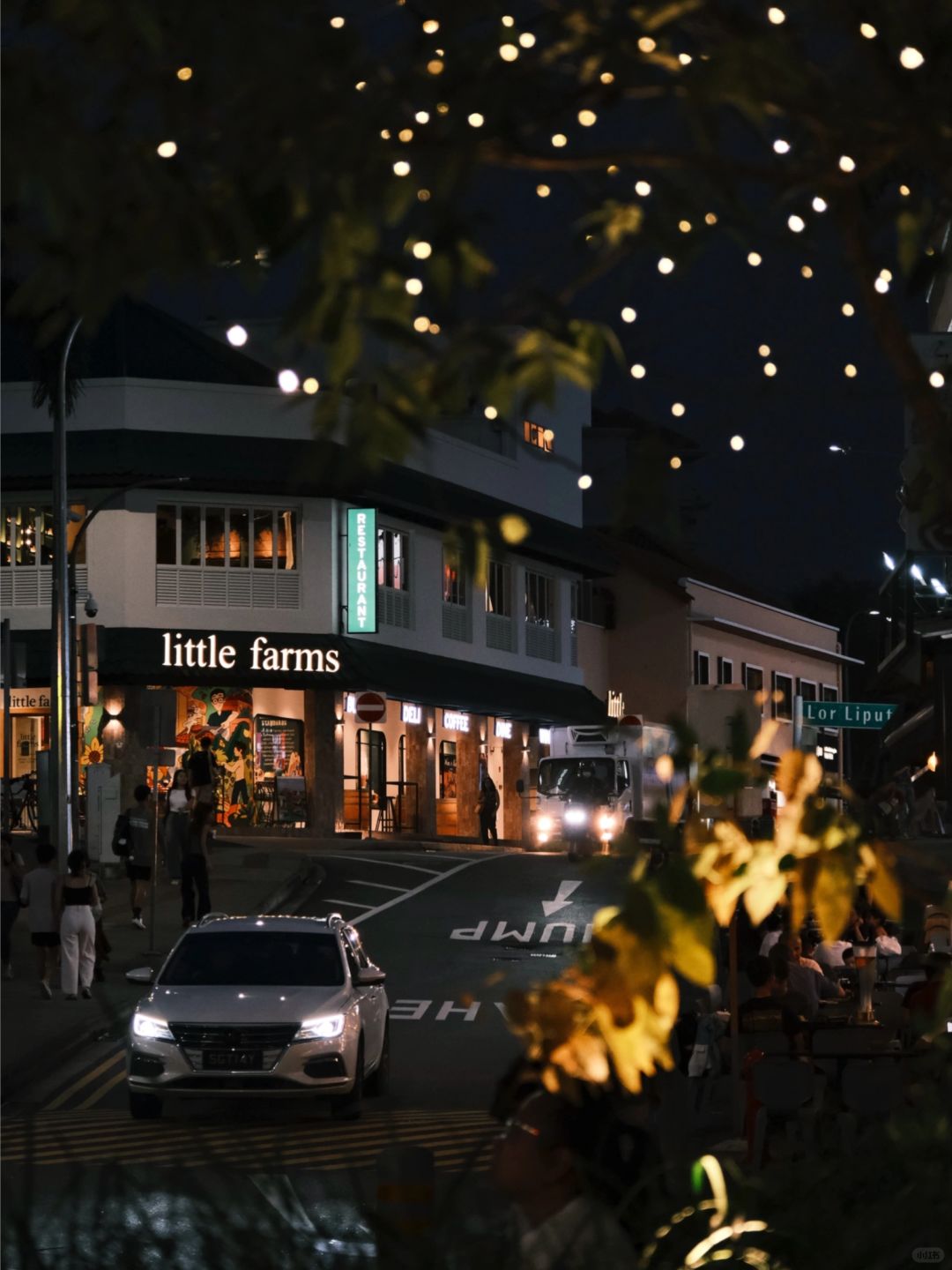 Singapore-Singapore Travel Notes | ❤️Holland Village at night is so beautiful that I am attracted by the neon lights here