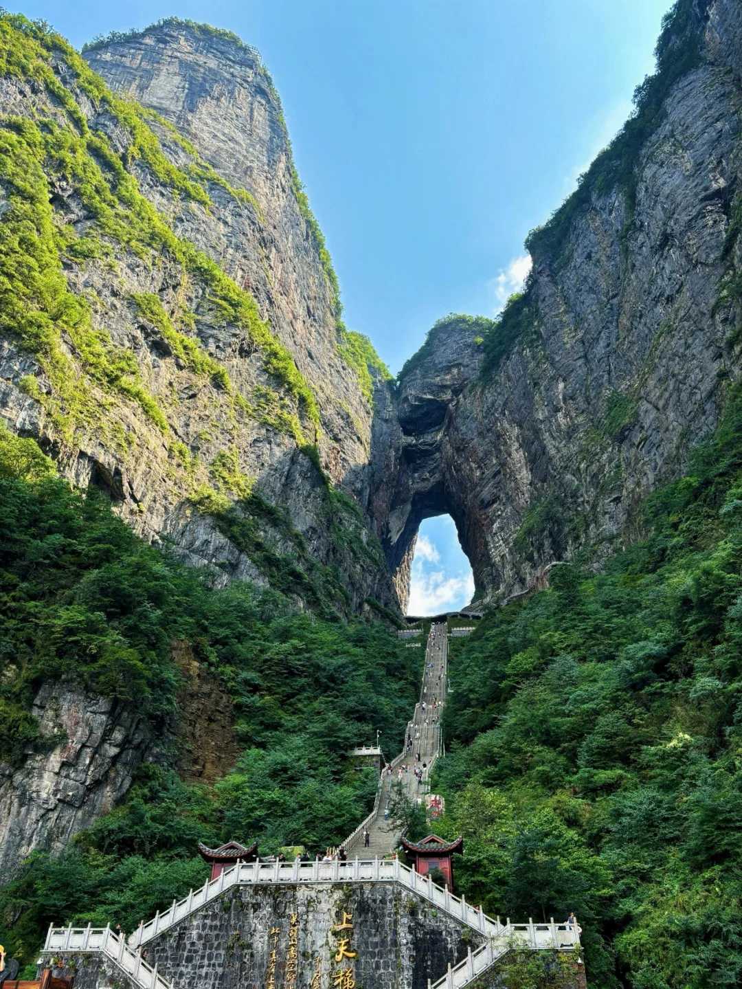 Changsha-Zhangjiajie Western Hunan 5-day travel guide, go deep into the National Forest Park to explore the wonders of the canyon