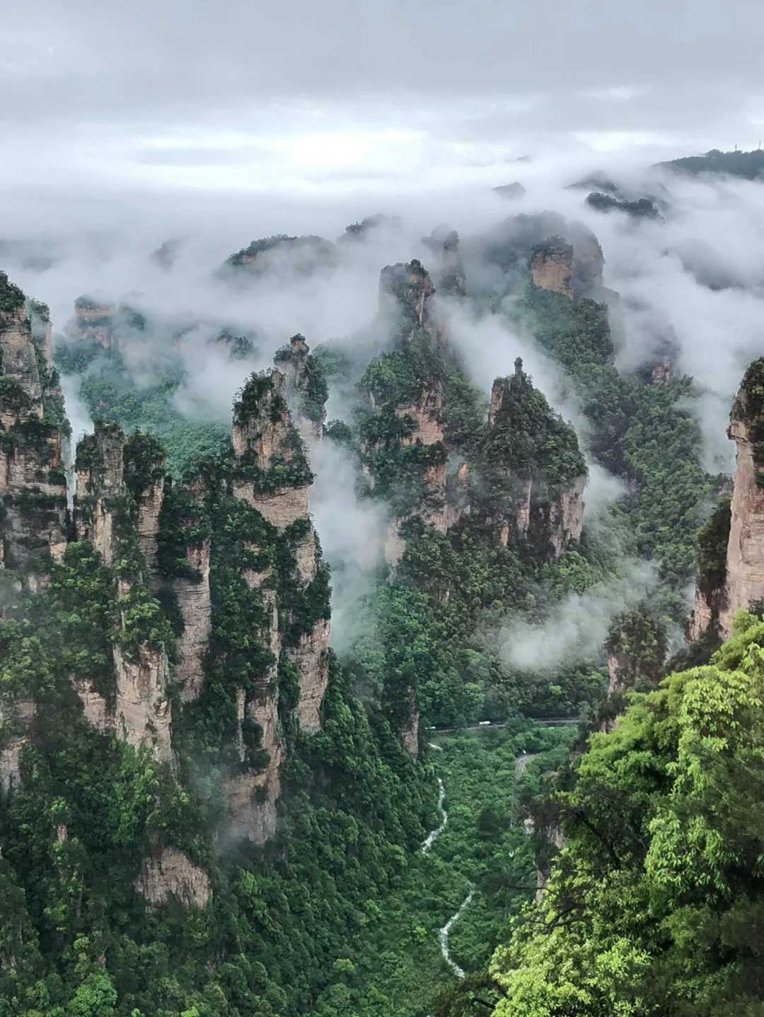 Changsha-Zhangjiajie Western Hunan 5-day travel guide, go deep into the National Forest Park to explore the wonders of the canyon